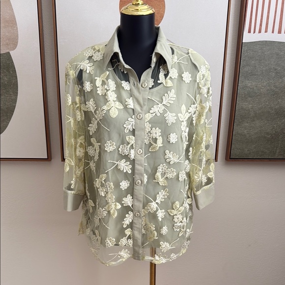 Vintage Green Elegant Sheer Floral Embroidered Top - Picture 1 of 7